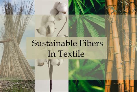 Bamboo Fibers: Unravelling the Sustainable Potential for Textile Reinforcement and Biocomposite Manufacturing!