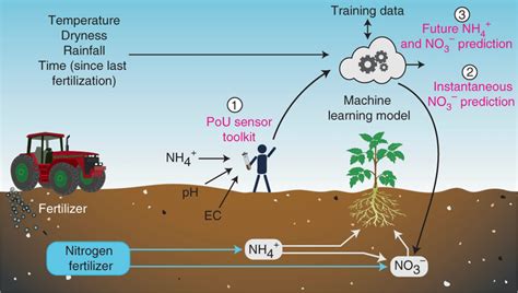  Urea: Fertilizzante Azotato ad Alta Efficienza per il Futuro dell'Agricoltura!